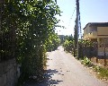 05530  1a Traversa Bianchini primo tratto a destra a salire Via Fosso Bianco.JPG (70823 bytes)