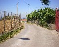 05532  1a Traversa Bianchini primo tratto a destra a salire Via Fosso Bianco.JPG (76111 bytes)