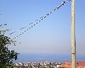 05540  1a Traversa Bianchini primo tratto a destra a salire Panorama.JPG (38328 bytes)