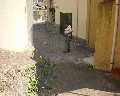 06030  1a Traversa Bianchini.jpg (76699 bytes)