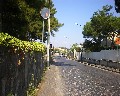 06503 Via Scappi-  7^ Circolo Didattico.jpg (86692 bytes)