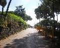 07002 traversa Montedoro zona Ospedaliera.jpg (87901 bytes)