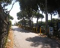 07003 traversa Montedoro zona Ospedaliera.jpg (83820 bytes)