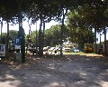 07005 traversa Montedoro zona Ospedaliera Parcheggio Privato.jpg (86906 bytes)