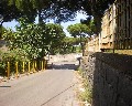 07008 traversa Montedoro zona Ospedaliera.jpg (95310 bytes)