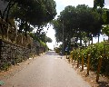 07009 traversa Montedoro zona Ospedaliera.jpg (81271 bytes)