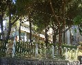 07013 traversa Montedoro zona Ospedaliera.jpg (109920 bytes)