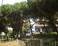 07014 traversa Montedoro zona Ospedaliera.jpg (95518 bytes)