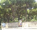07015 traversa Montedoro zona Ospedaliera.jpg (116459 bytes)