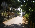 07029 Traversa Montedoro.jpg (88498 bytes)