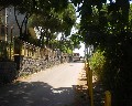 07030 Traversa Montedoro.jpg (76406 bytes)