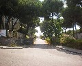 07031 Traversa Montedoro.jpg (74321 bytes)