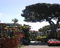 08527  Via Tironcelli.jpg (141381 bytes)