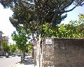 08529 Termine di Via Tironcelli.jpg (115799 bytes)