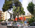 09510 Via Cappuccini.jpg (67526 bytes)
