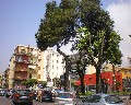 10027 Piazza della repubblica.jpg (96596 bytes)