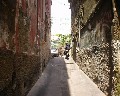 12006  1�Vico Orto Contessa.jpg (84003 bytes)