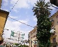 12011 Uscita da 1�Vico Orto Contessa in Via Teatro.jpg (90624 bytes)
