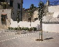 12548  Via Comizi sotto la Ripa direzione Piazza S. Croce e Via Fontana.jpg (103013 bytes)