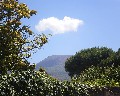 13543 Da Via Purgatorio.jpg (95361 bytes)