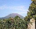 13545 Da Via Purgatorio.jpg (104986 bytes)