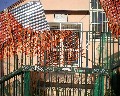 14541 Dal Piazzale Cesare Battisti scalone che porta alla Villa Comunale.jpg (135051 bytes)