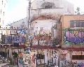 14543 Dallo scalone che porta alla Villa com. dietro la Chiesa di s. Maria del Principio.jpg (91165 bytes)
