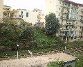 15013  Da  Via dei Calafati.jpg (91558 bytes)