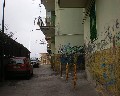 15026  Via dei Calafati.jpg (58758 bytes)