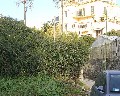 16010  Cupa S. Pietro.jpg (117625 bytes)