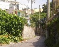 16016  Cupa S. Pietro.jpg (106990 bytes)