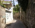 16023  Cupa S. Pietro.jpg (78808 bytes)