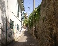 16026  Cupa S. Pietro.jpg (70544 bytes)