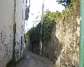 16029  Cupa S. Pietro.jpg (83894 bytes)