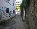16030  Cupa S. Pietro.jpg (73695 bytes)