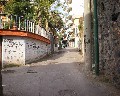 16034  Cupa S. Pietro.jpg (90784 bytes)