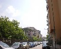 17048 Viale Ungheria da Via Cimaglia.jpg (59897 bytes)
